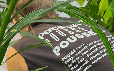 Entretien de Jardin à Rueil