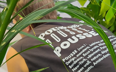 Entretien de Jardin à St Cloud