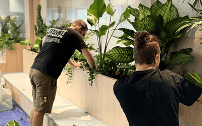 Entretien espace verts par POUSSE