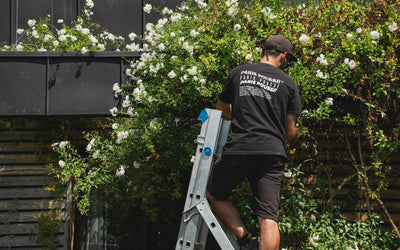 Finition_Entretien_POUSSE