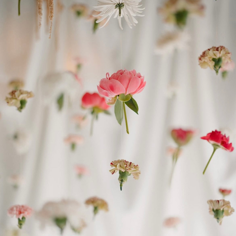 Détails fleurs Mur
