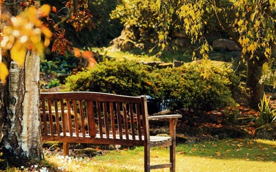 Entretien de Gazon à Bourg la Reine par POUSSE