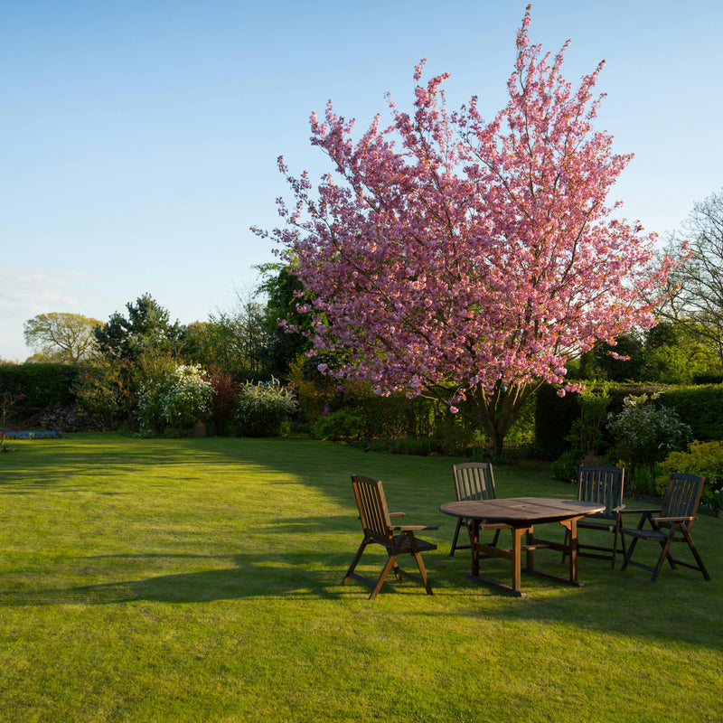 Taille haies Neuilly sur Seine