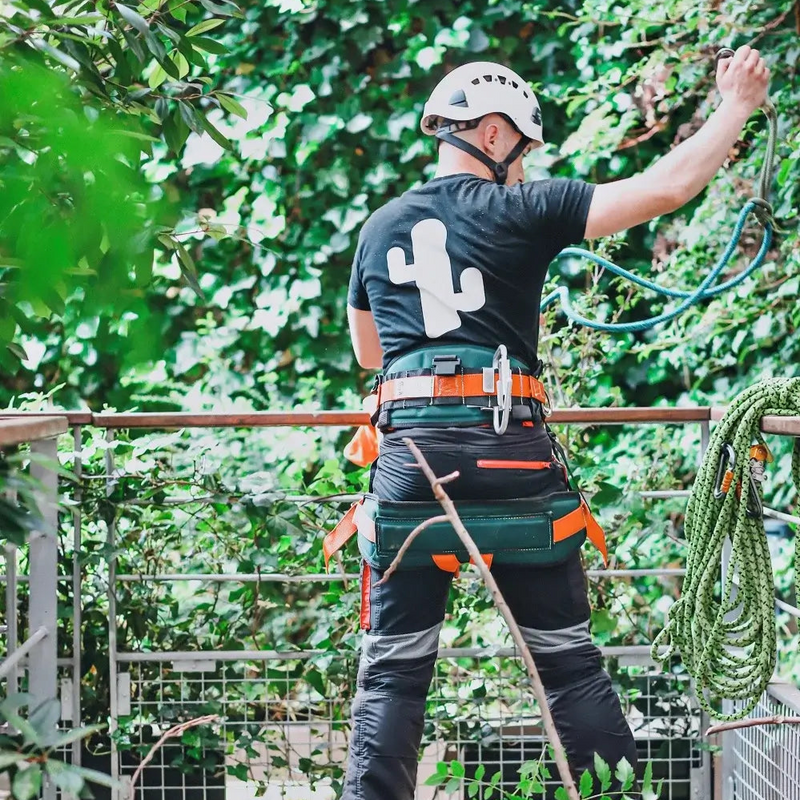 Tailles Haies Neuilly