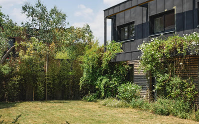 Un jardin entretenu par POUSSE