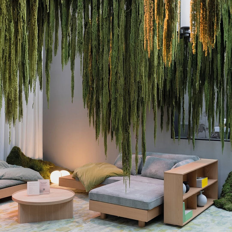 vegetalisation palais de tokyo ligne roset