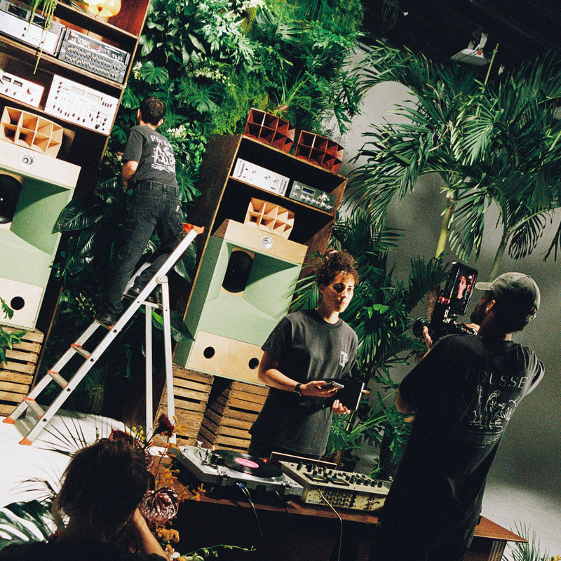 location plante palmier tournage shooting photo plateau