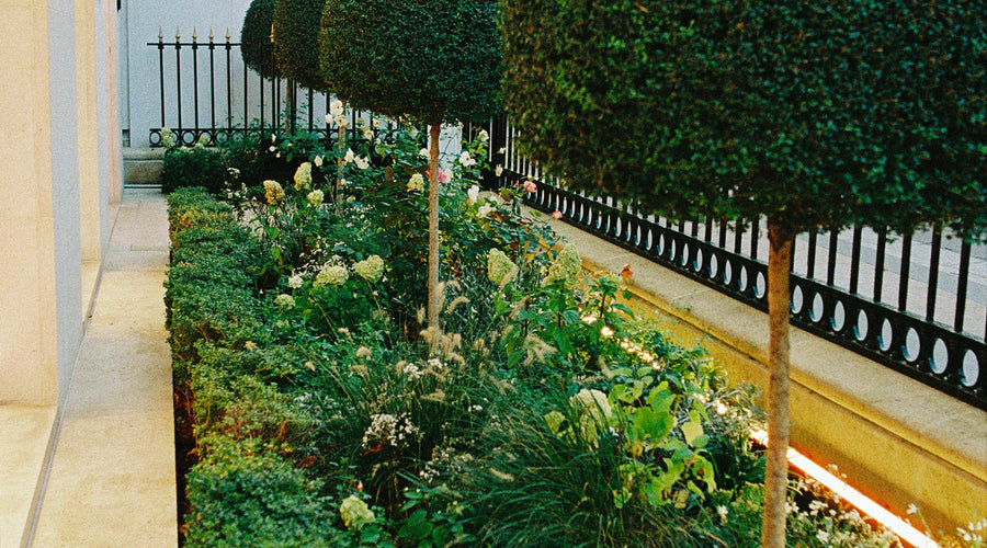 vegetalisation boutique paris