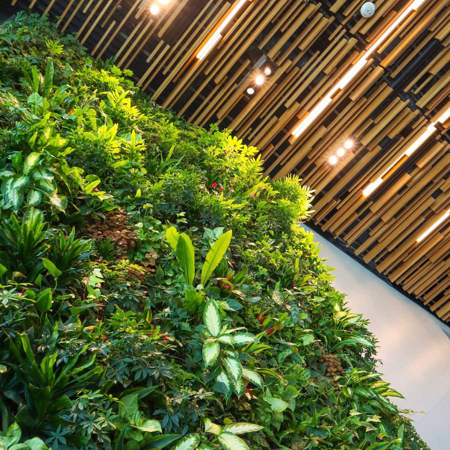 Le mur végétal naturel pour ajouter une touche de verdure à son espace