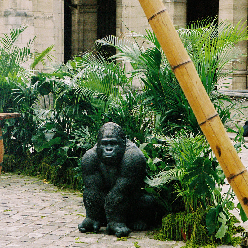 LOCATION DE PLANTE PARIS