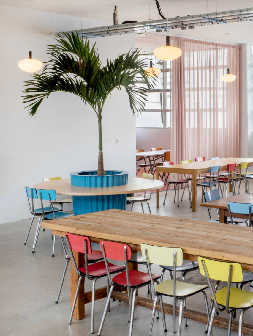 Palmier bureau Paris