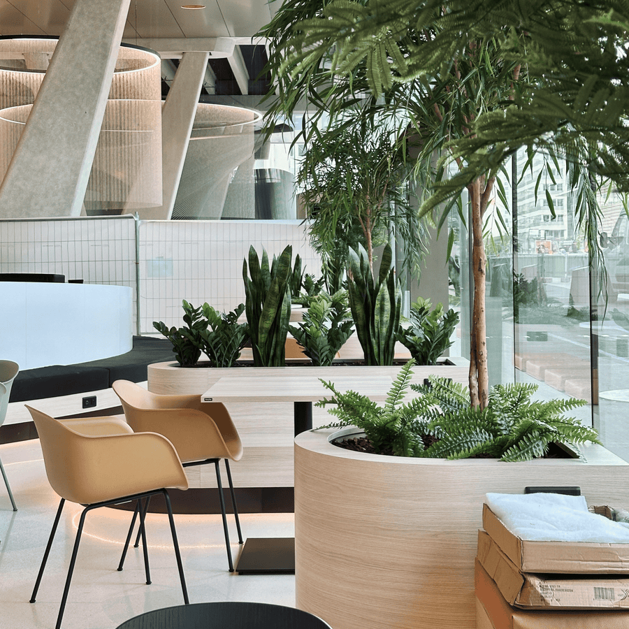 Projet Ocellis à Lyon