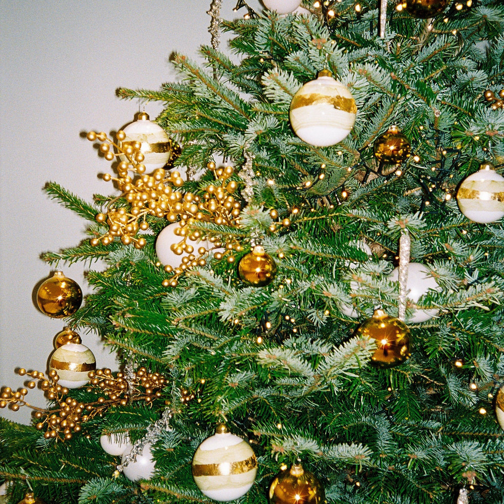 Sapin de Noel Van cleef POUSSE