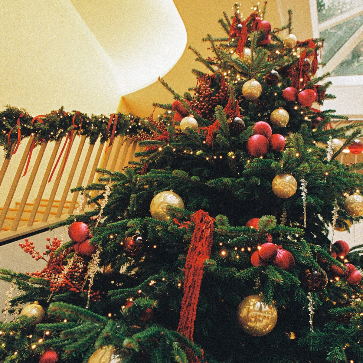 Sapin de noel et guirlande de noel decoration 
