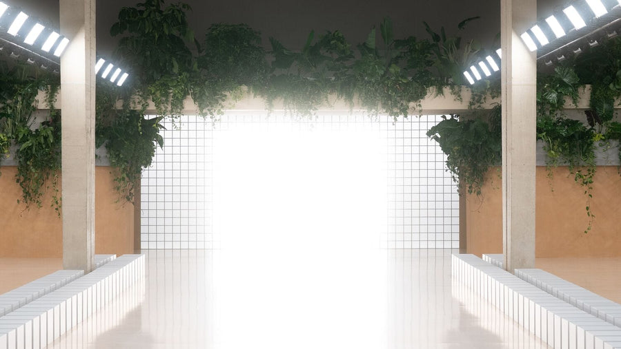 Scénographie Location de plantes défilé CHLOE par POUSSE