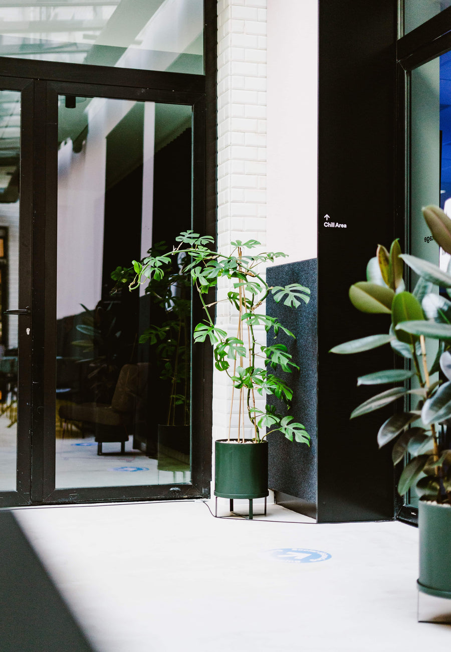 Végétalisation et entretien bureaux Paris