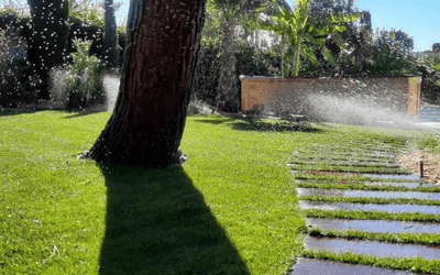 Tonte de Gazon à Boulogne