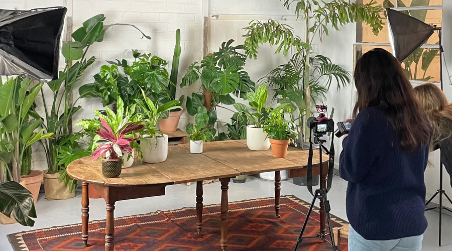 Studio végétal POUSSE préparé pour le tournage d'un court métrage