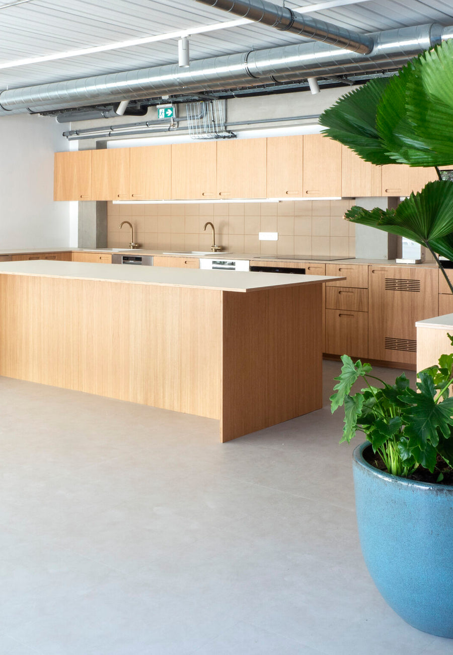 Vegetalisation Bureaux plantes intérieures Lydia