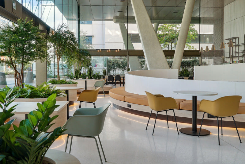 Végétalisation et entretien plantes bureaux à lyon