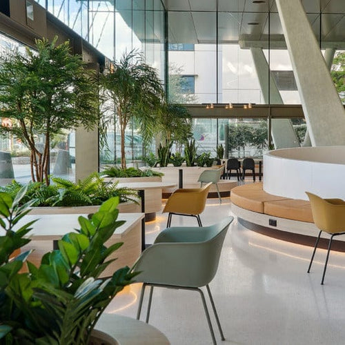 Végétalisation et entretien plantes bureaux à lyon