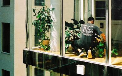 Entretien plante verte bureau entreprise Paris