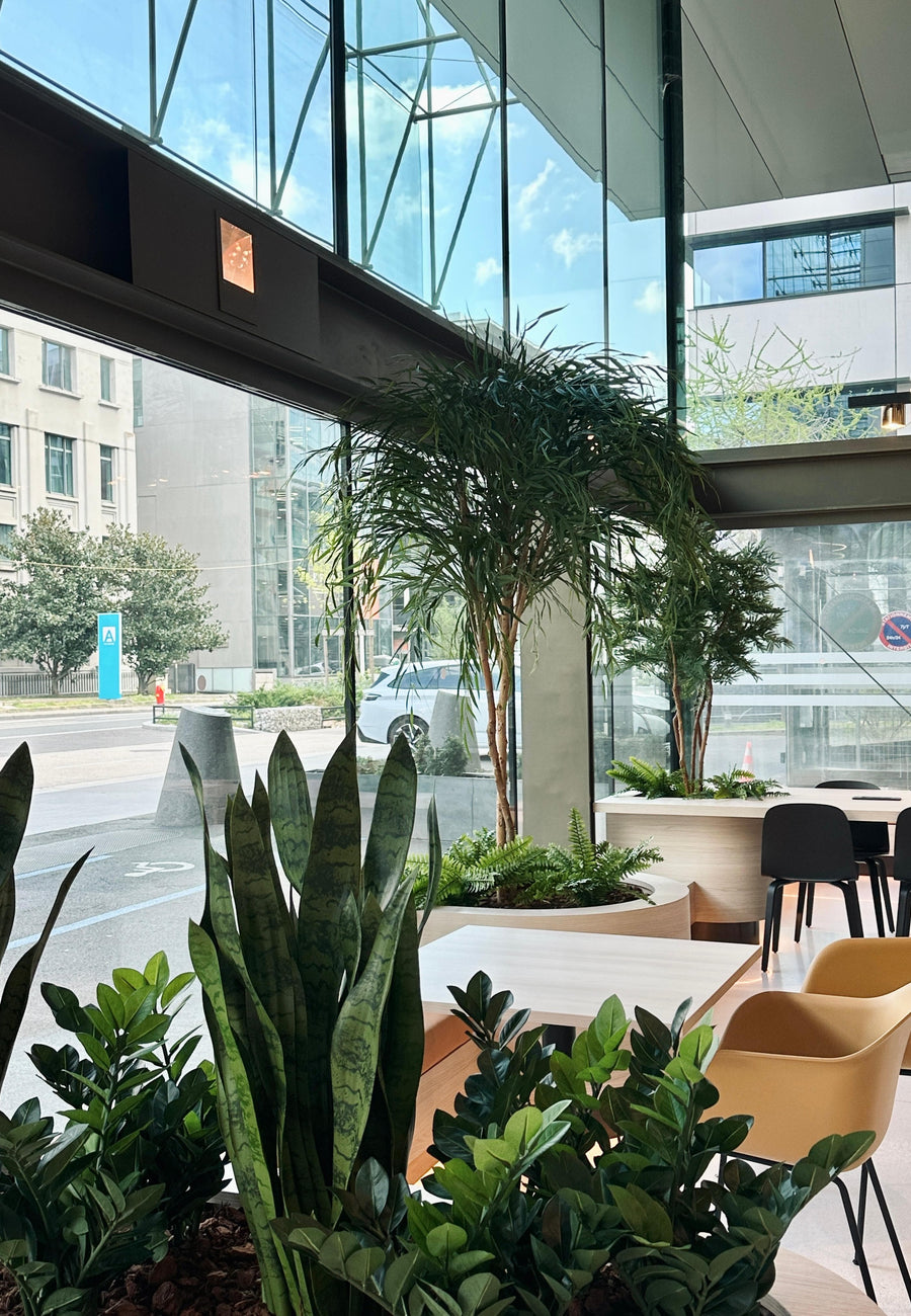 Vegetalisation_et entretien parc vegetal lyon occelis