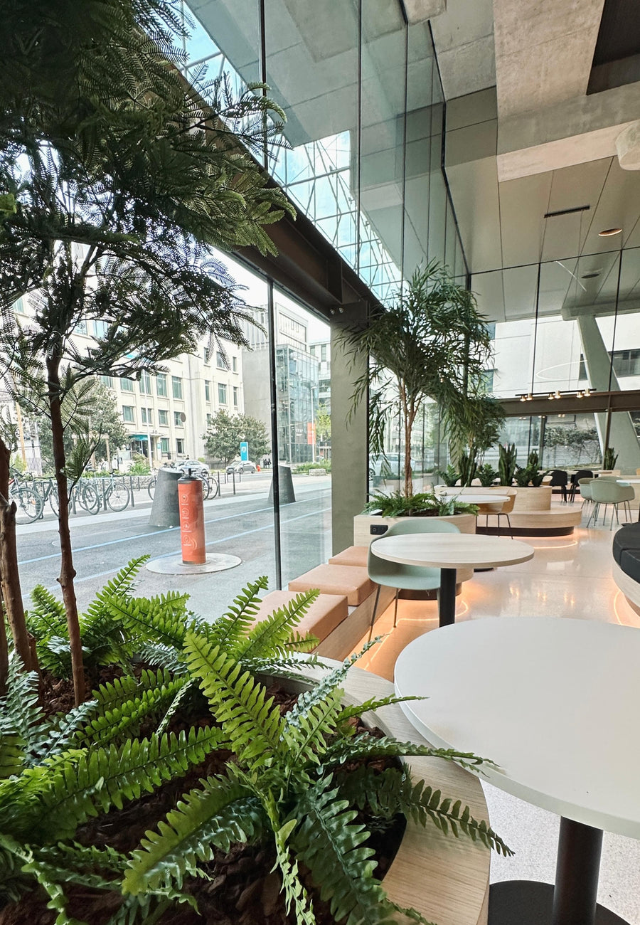 Vegetalisation_maintenance_plantes lyon