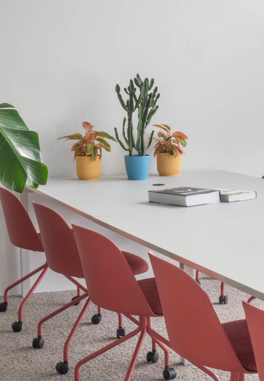 Vegetalisation salle de reunion bureau Paris