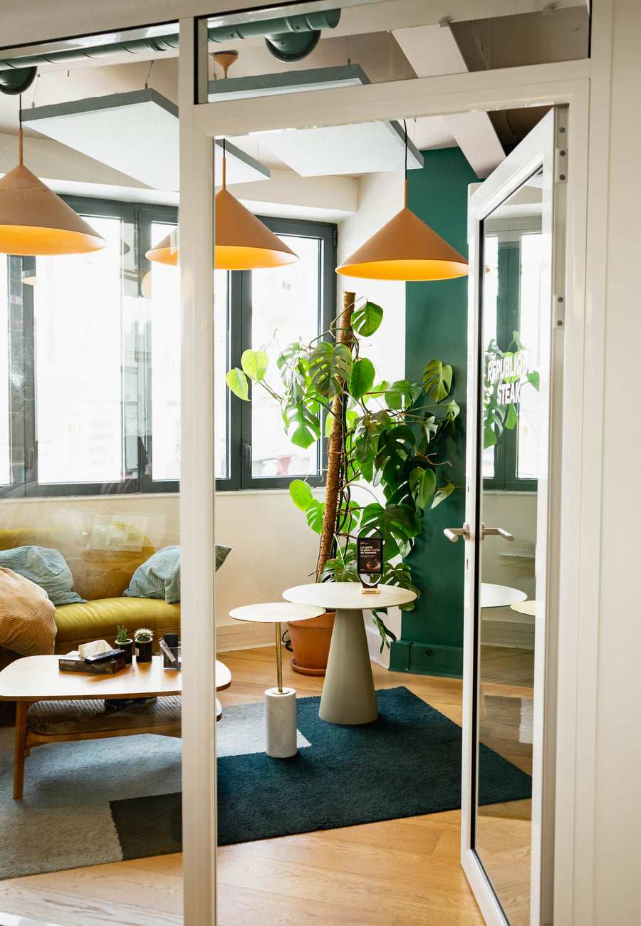 achat plante bureau paris