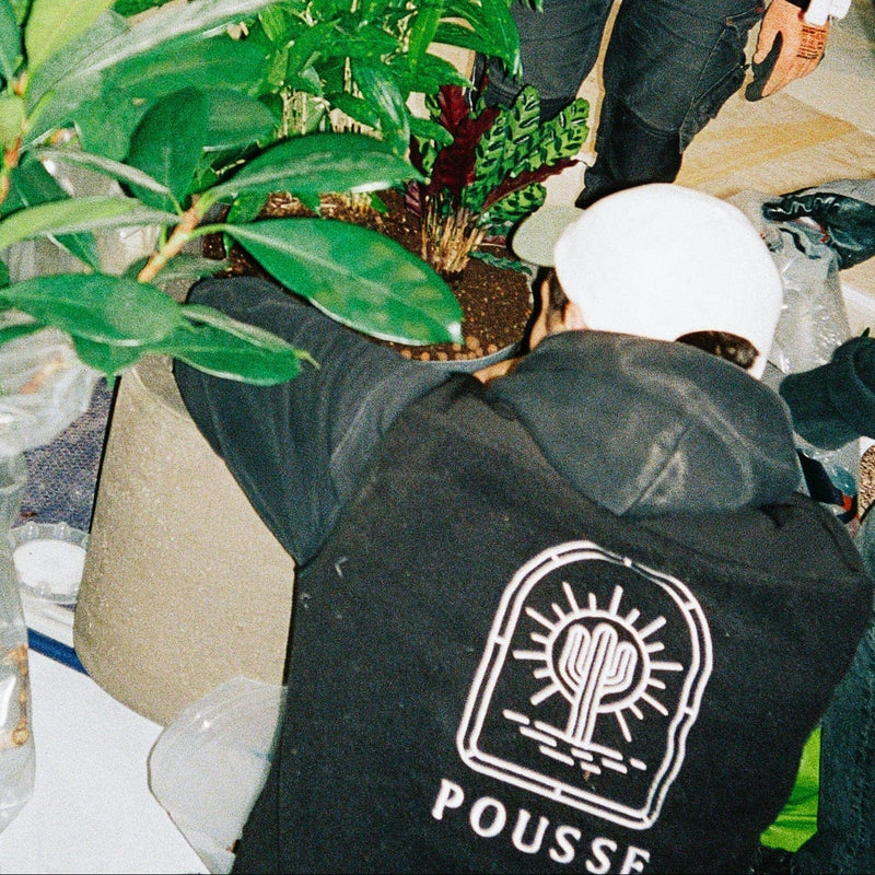 agence vegetale Paris, Bordeaux, Lyon et Cannes