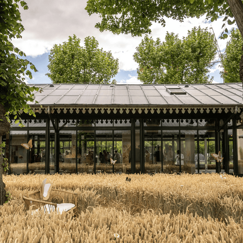 champs de blé dior POUSSE