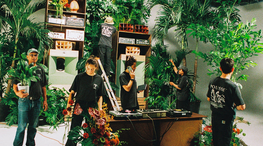 location de plante shooting tournage 