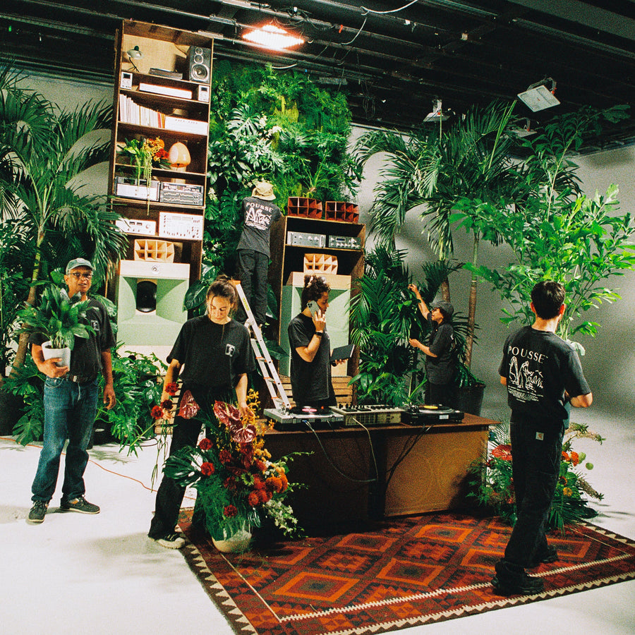 location de plante shooting tournage 