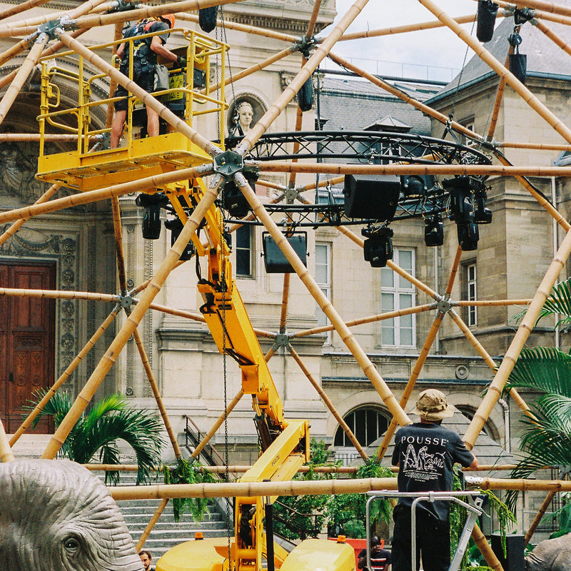location plante event palmier jumanji jungle soirée 