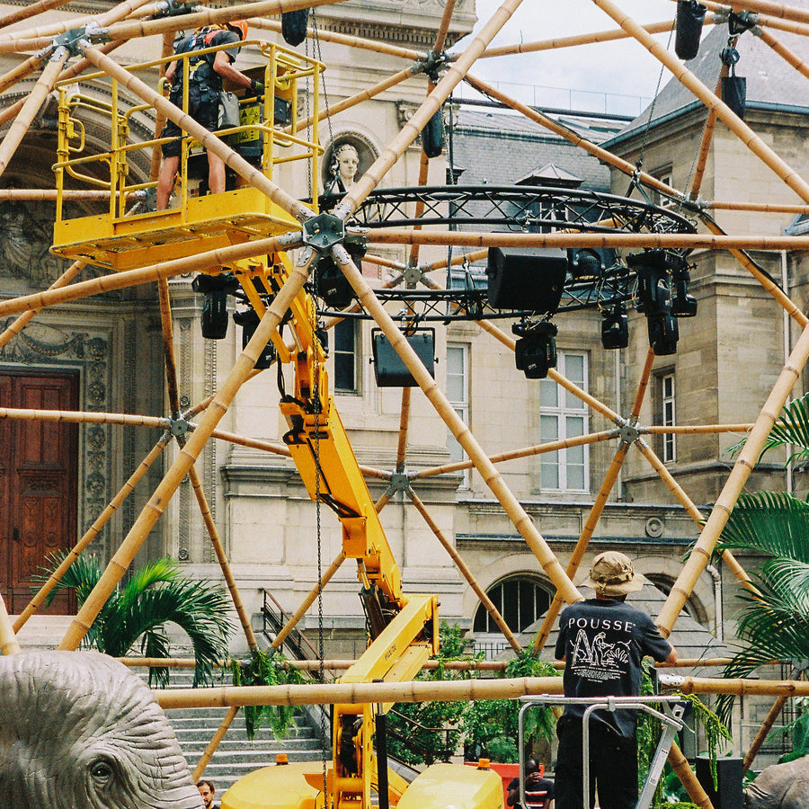location plante event palmier jumanji jungle soirée 