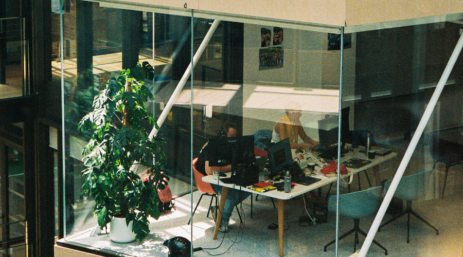 abonnement plante bureau 