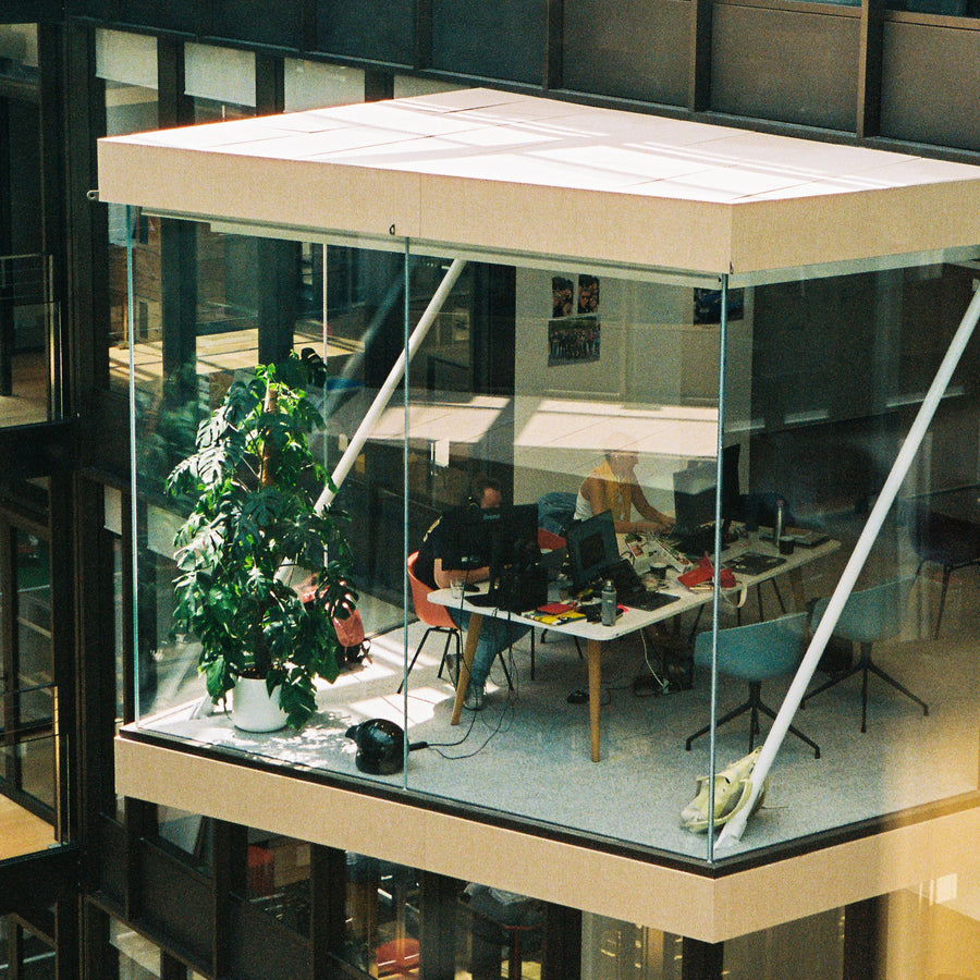 abonnement plante bureau 