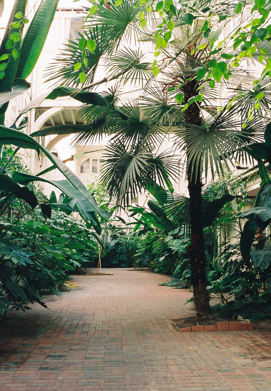 entretien plantes copropriété