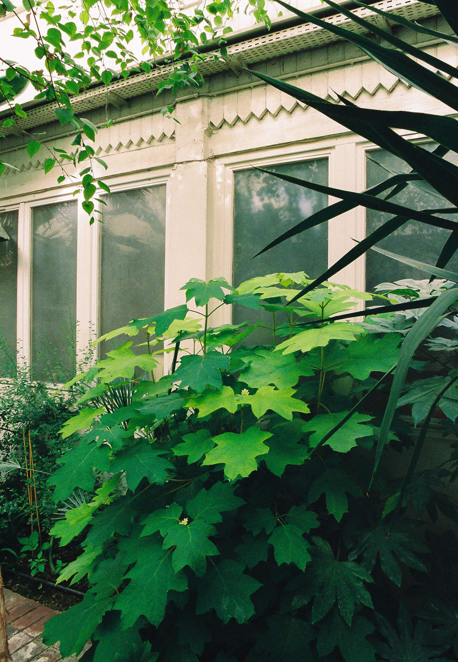 entretien plantes copropriété