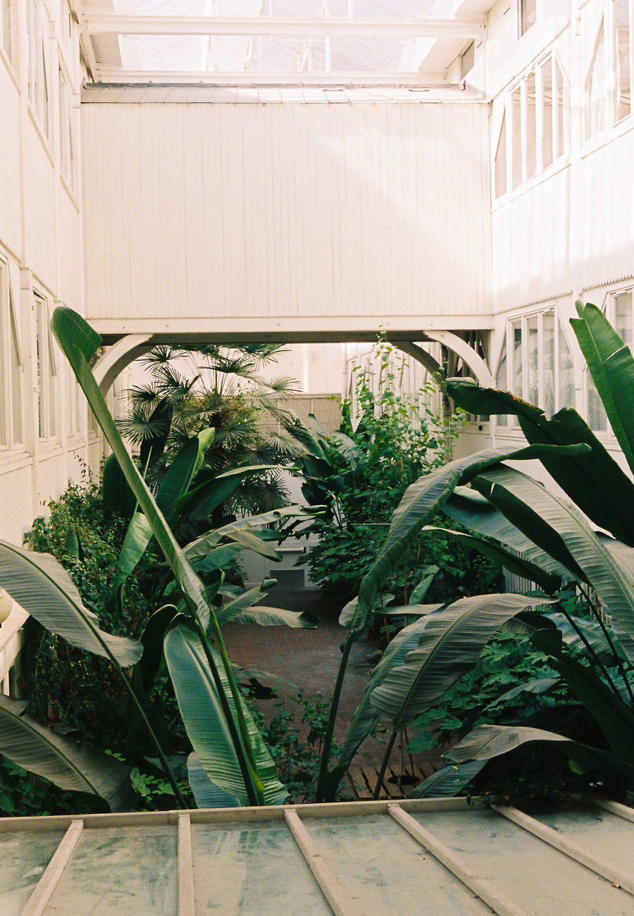 entretien serre vegetalisée