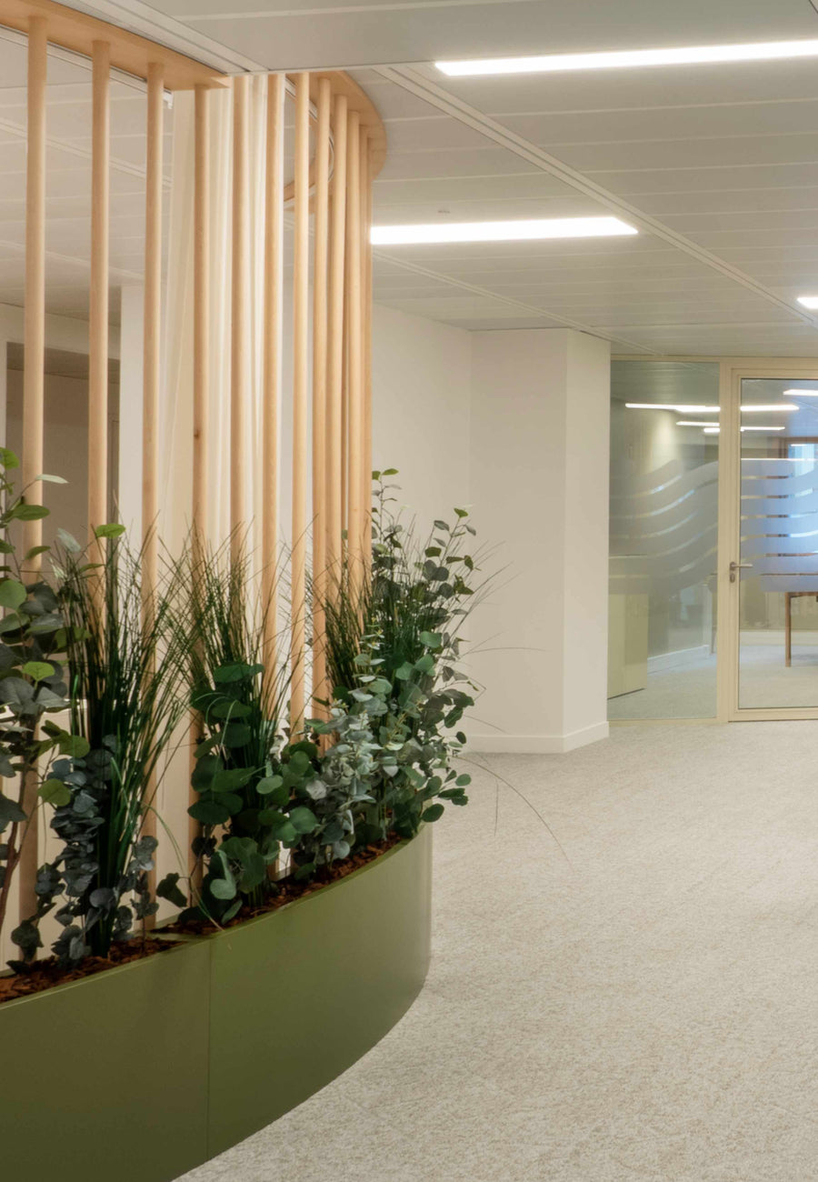 claustrat vegetalbois plante stabilisee