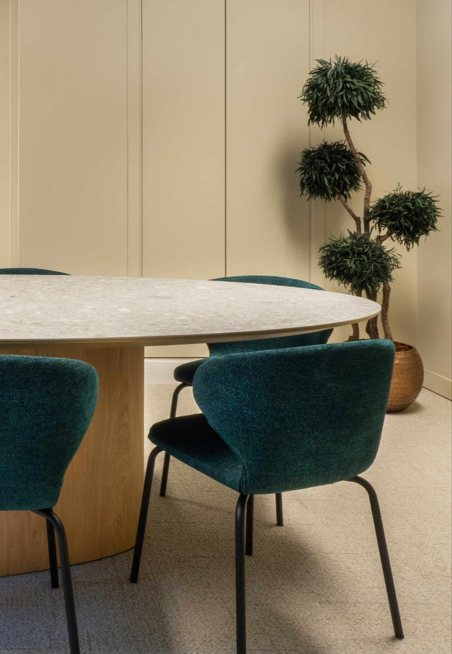 plante verte stabilise salle de reunion paris