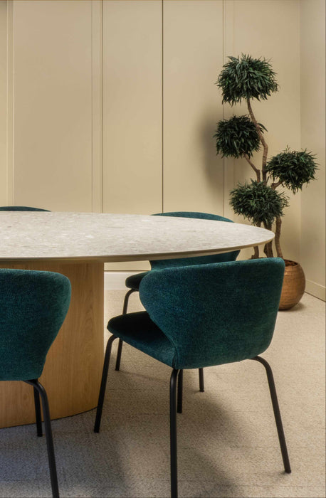 plante verte stabilise salle de reunion paris