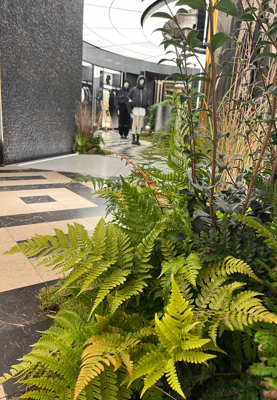 installation evenementielle scenographie vegetale boutique moncler