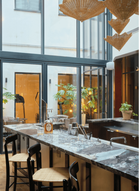 entretien plante bar hotel