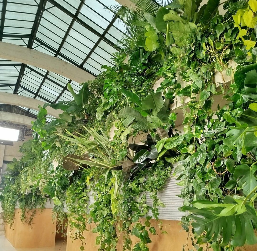 installation et vegetalisation defile haute couture chloe paris