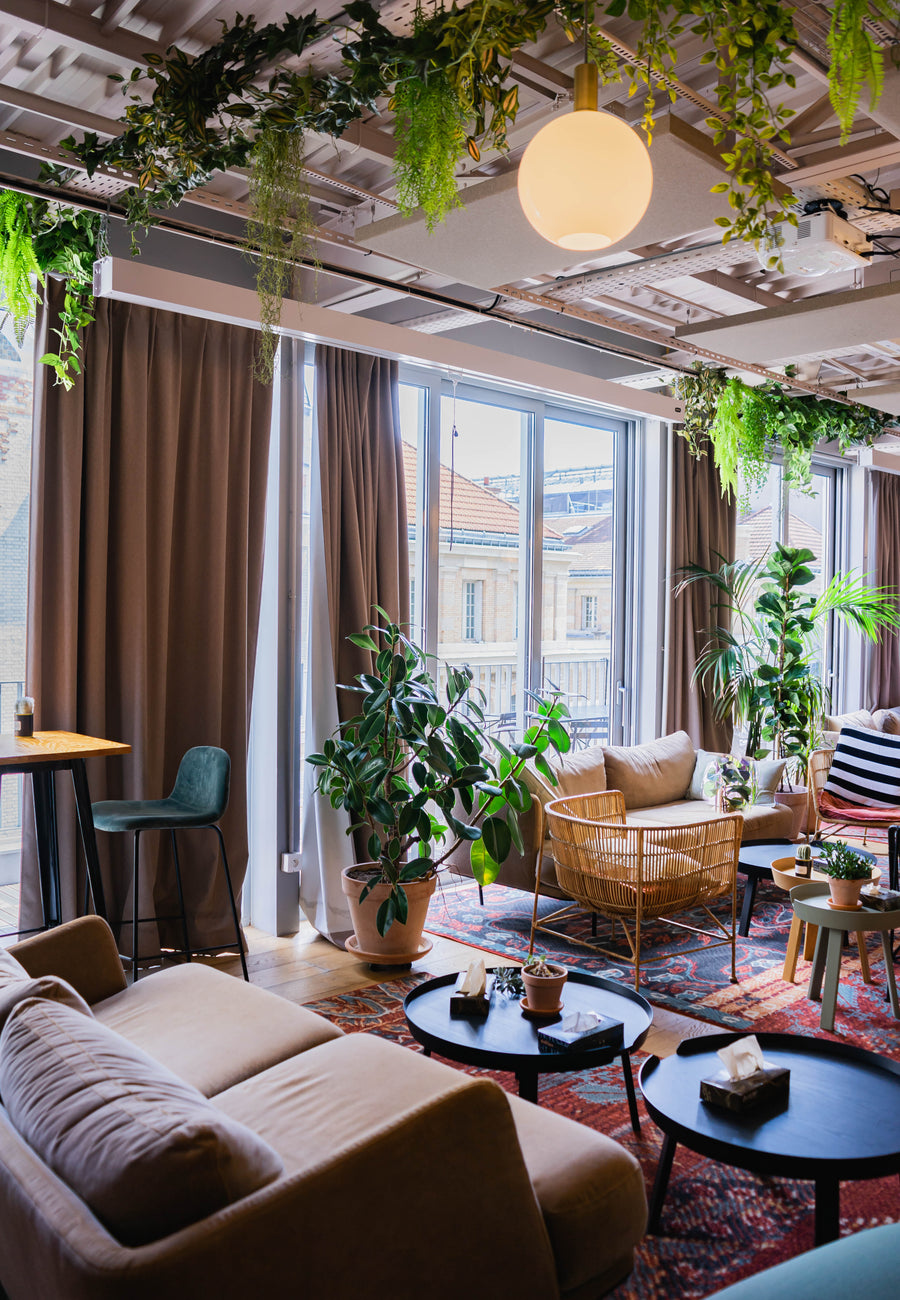 vegetalisation  espace coworking Paris 