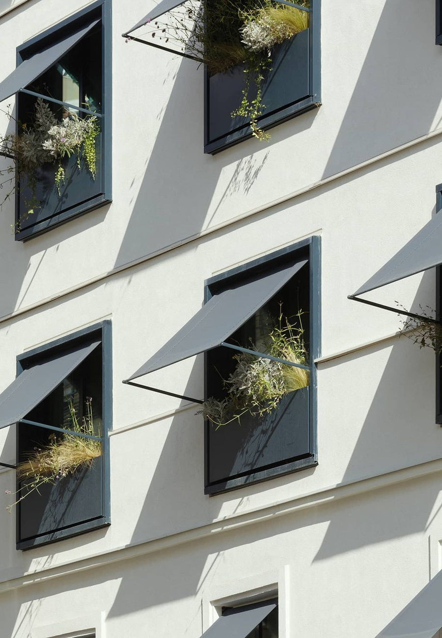 entretien plante façade hotel