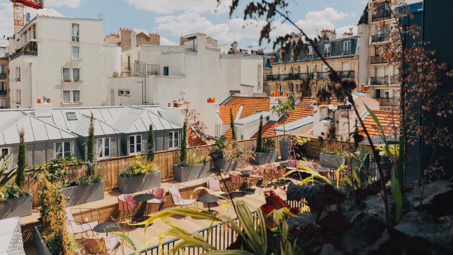 entretien jardinier rooftop hotel paris 15e